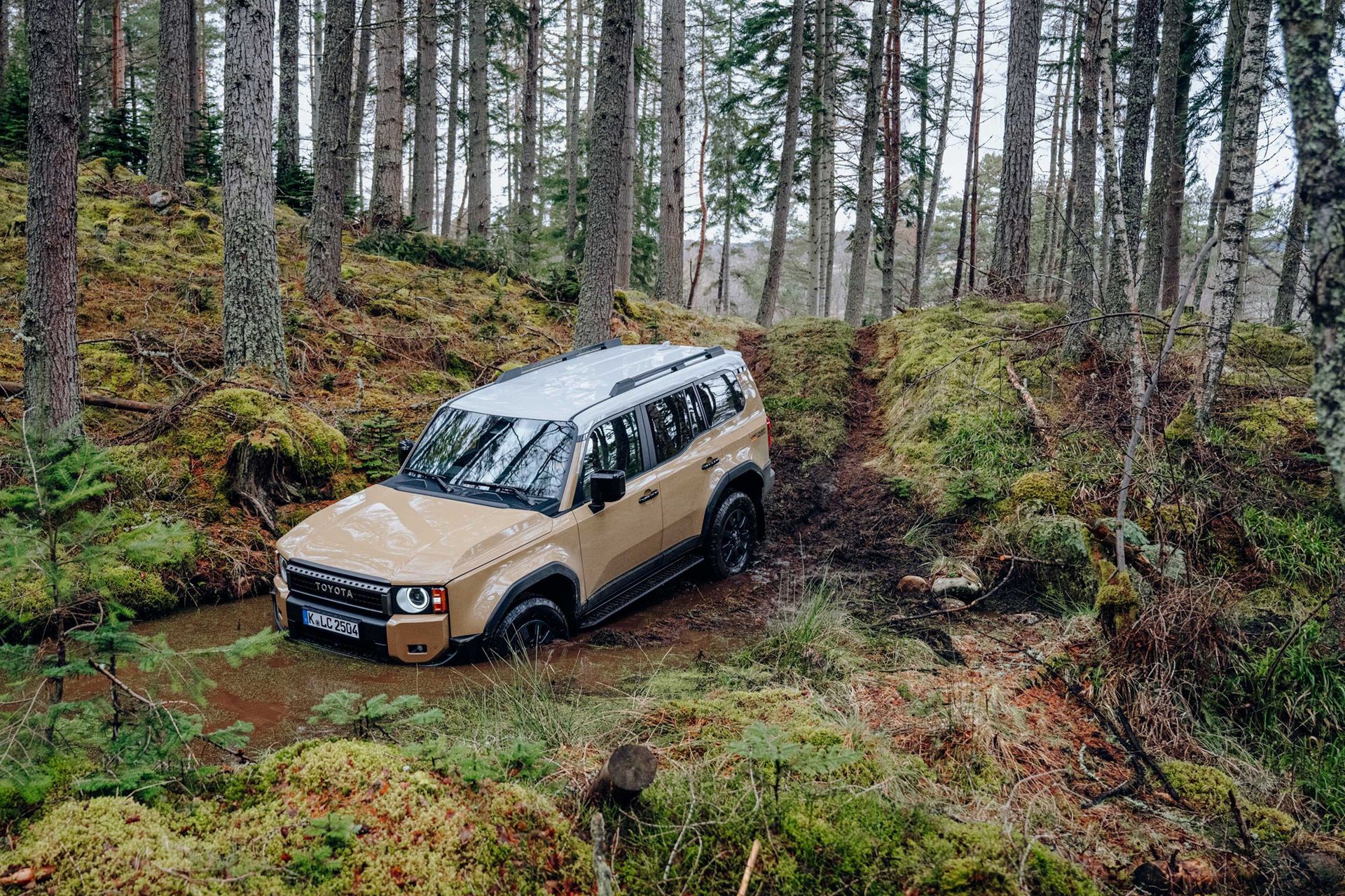 Toyota Land Cruiser First Edition