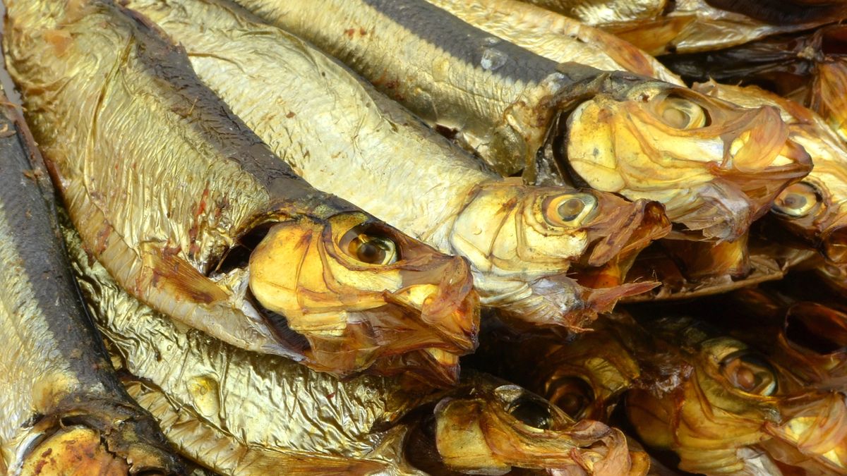 Czy wędzone ryby można mrozić? Wyjaśniamy