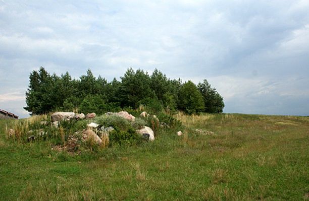 Obraz