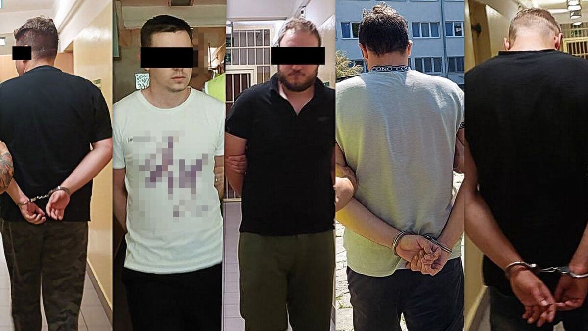 5 mężczyzn atrzymanych za treści pedofilskie