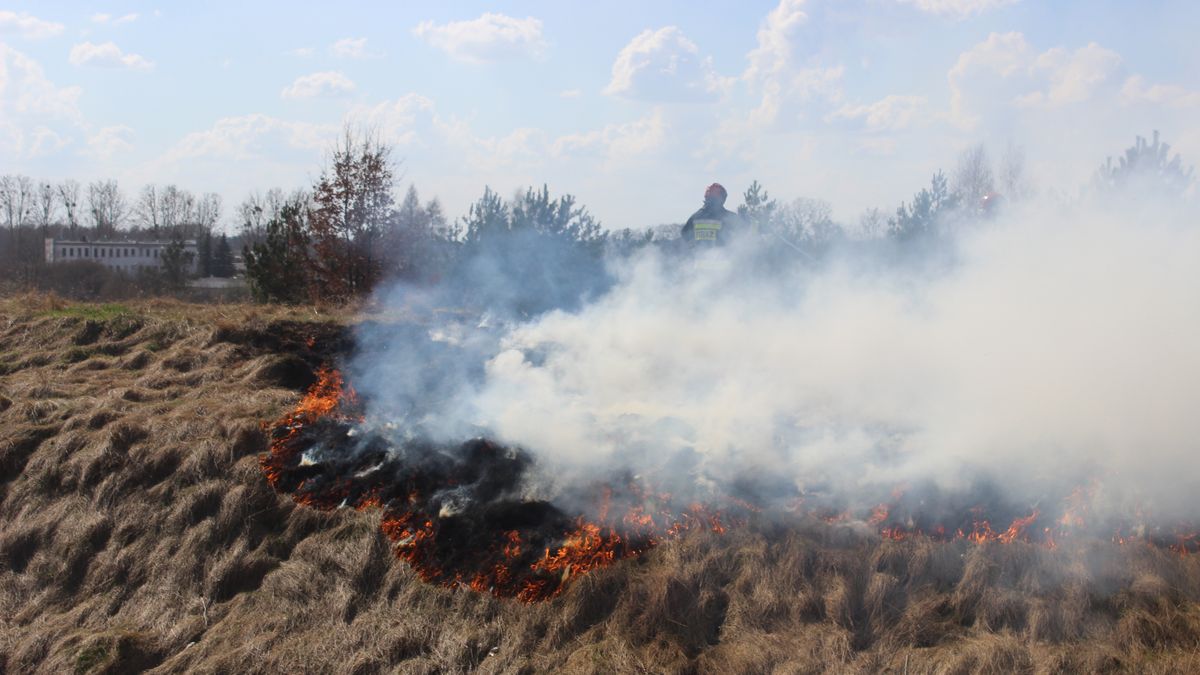 "Stop, tak nie nie można". Straż pożarna o wypalaniu traw 