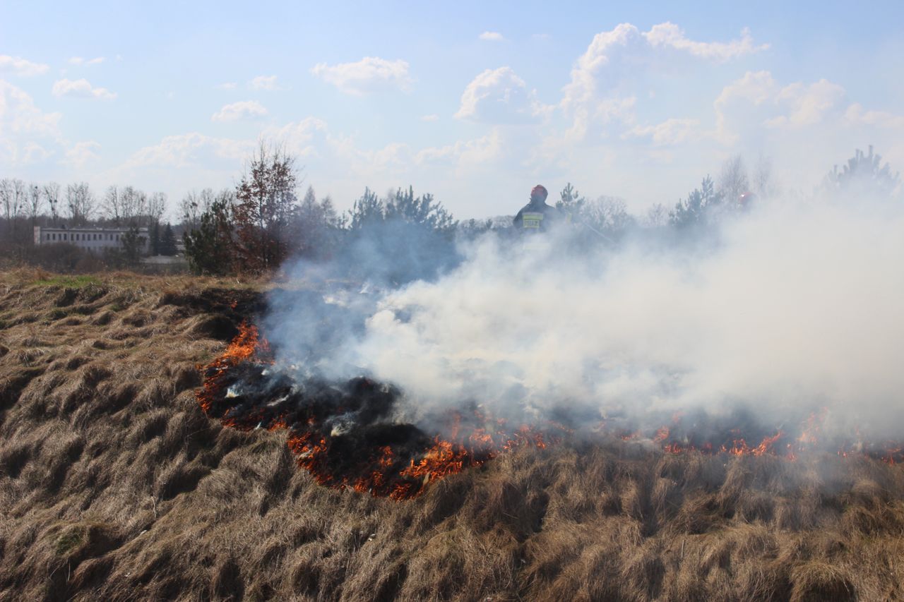 Podkarpacie: 215 pożarów w weekend. Strażacy ostrzegają przed skutkami