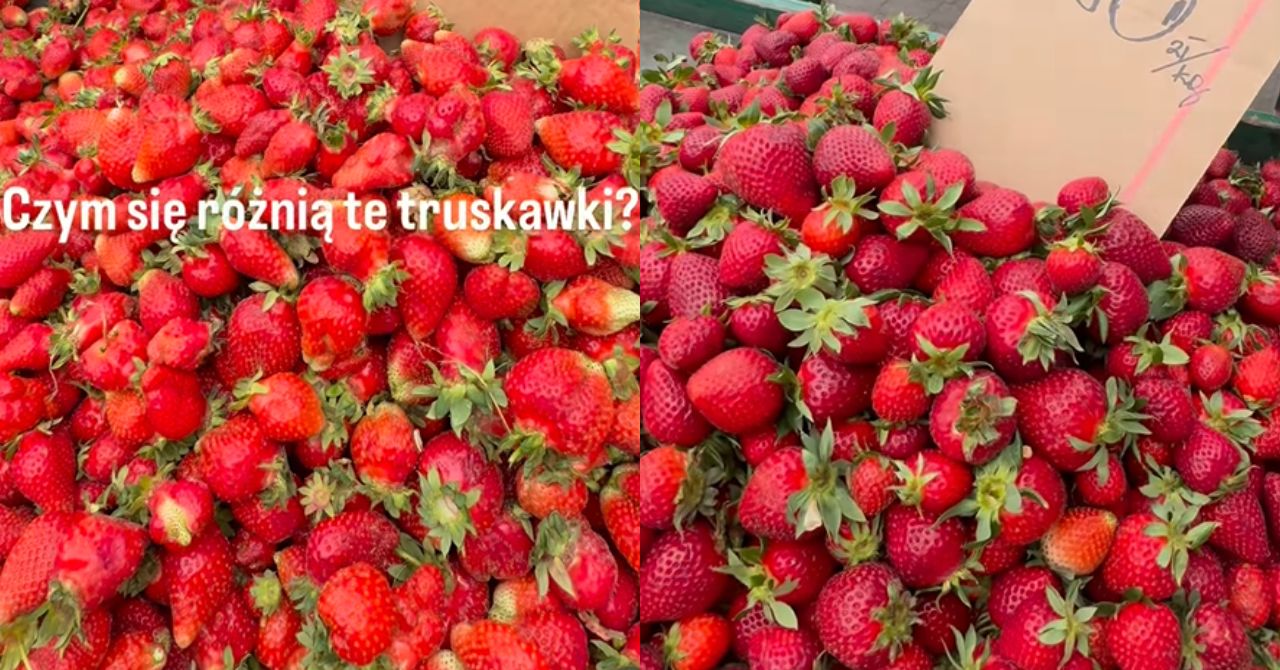 Czym różnią się truskawki? "Nawet zapomniałam, ile kosztowały"