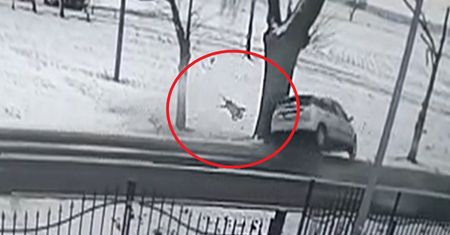 Dziecko wypadło z auta. Wstrząsające nagranie. Specjalny apel policji
