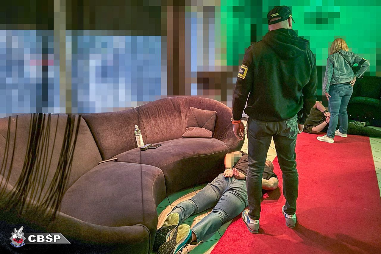 Rozbito grupę sutenerów działającą od lat.