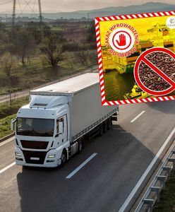 Zatrzymali 23 tys. kg ryżu z Pakistanu. Oto co wykryli