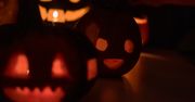 Szamotuły: Impreza Halloweenowa dla dzieci w sali zabaw