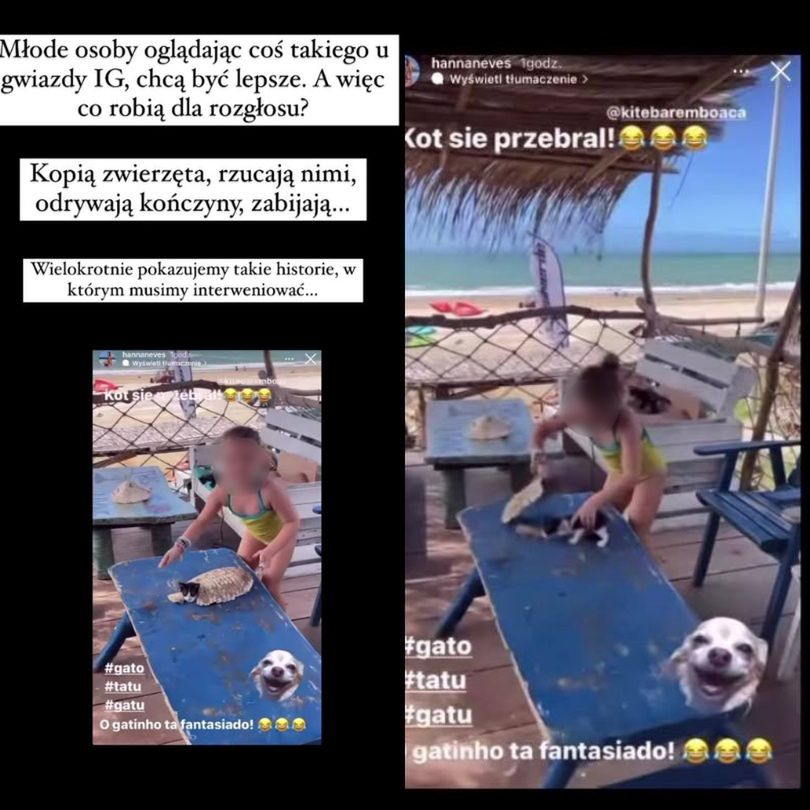 Hanna Zborowska-Neves odpowiada na zarzuty o męczenie kota