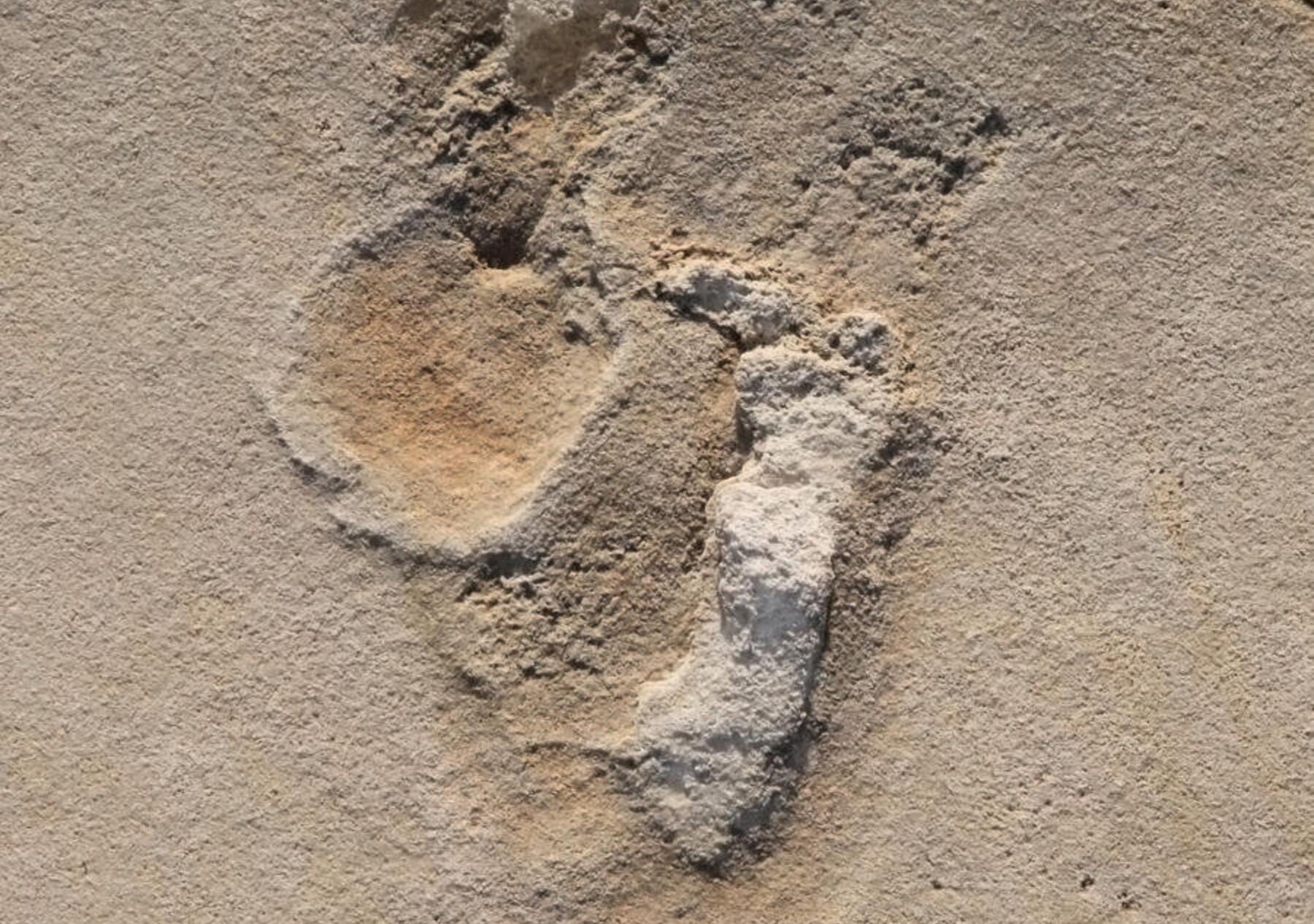 Przełom w rozumieniu ludzkości. Odnaleźli najstarsze ślady stóp?