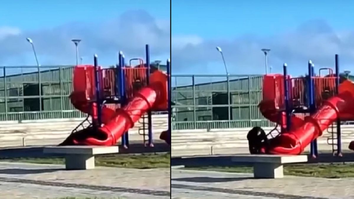 Prezydent utknął w zjeżdżalni.