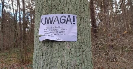 Leśnicy pokazali karteczkę. Tylko kilka słów. Spójrzcie