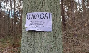 Leśnicy pokazali karteczkę. Tylko kilka słów. Spójrzcie