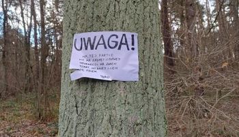 Leśnicy pokazali karteczkę. Tylko kilka słów. Spójrzcie