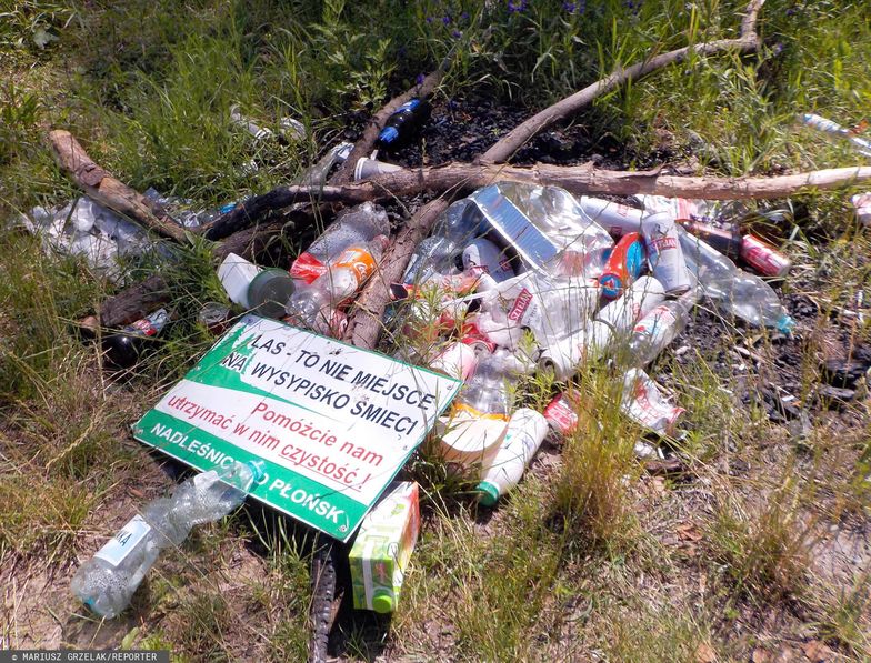 Kara za śmiecenie w lesie wzrośnie do 5 tys. zł