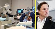 Musk wszczepi ludziom chipy. Ma zgodę rządu