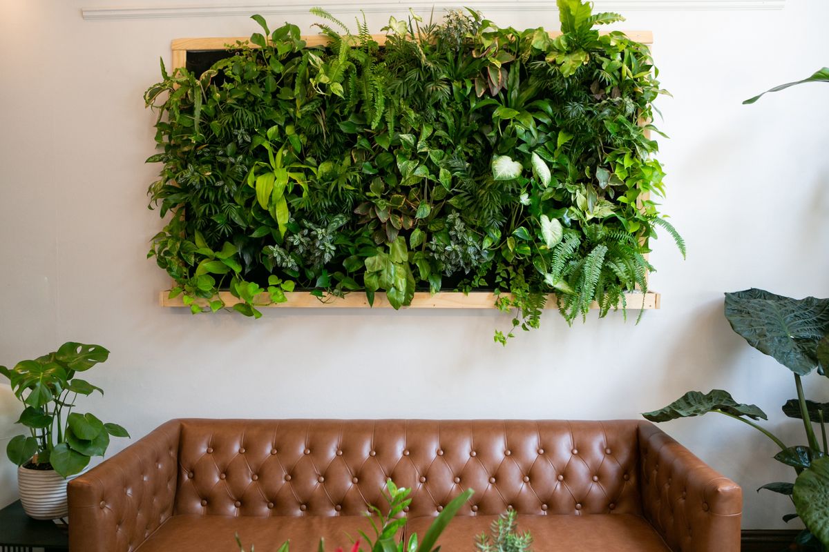 Ściana tętniąca zielenią. Jak zrobić domowy ogród wertykalny?
