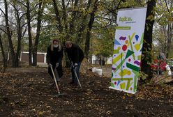 Śląskie. Metropolii sposób na suszę, łąki kwietne