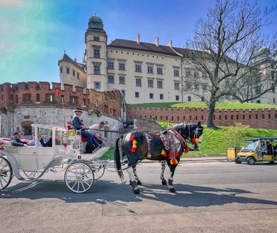 Gdzie na długi weekend? Pomysły na wycieczkę w sierpniu 2022