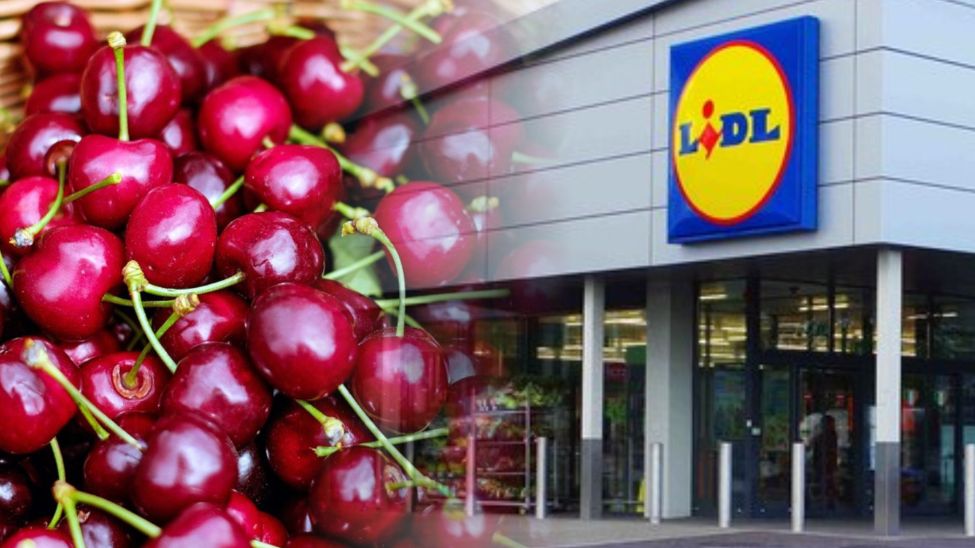 Promocja na czereśnie w Lidlu trwa do 25 lipca