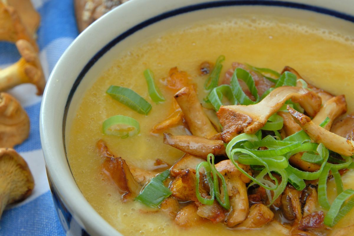 Chanterelle mushroom soup