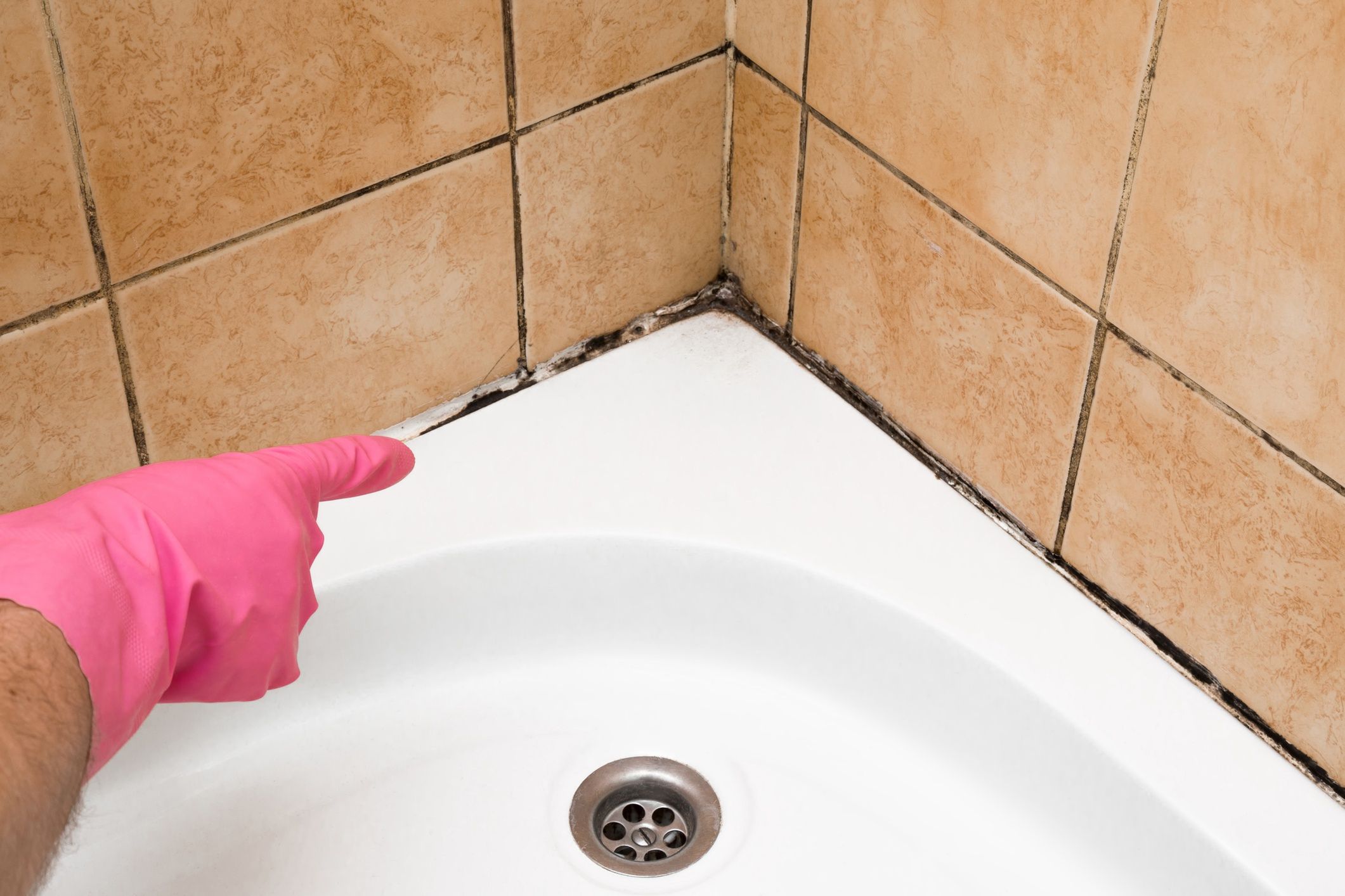 Hand in rubber protective glove pointing to the mold in the shower cabin corner. Problems and solutions concept.
Hand in rubber protective glove pointing to the mold in the shower cabin corner. Problems and solutions concept.
FotoDuets