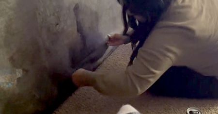Kobieta rozcięła tył kanapy. Chciała odzyskać pilota, przeżyła szok