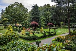 Wrocław. ”Patrzę z okna i czuję się jak w pałacu”. Królewski ogród na Radosnej