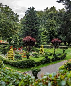 Wrocław. ”Patrzę z okna i czuję się jak w pałacu”. Królewski ogród na Radosnej