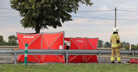 Wysiadła z jadącego auta. Chwilę później nastolatka zginęła