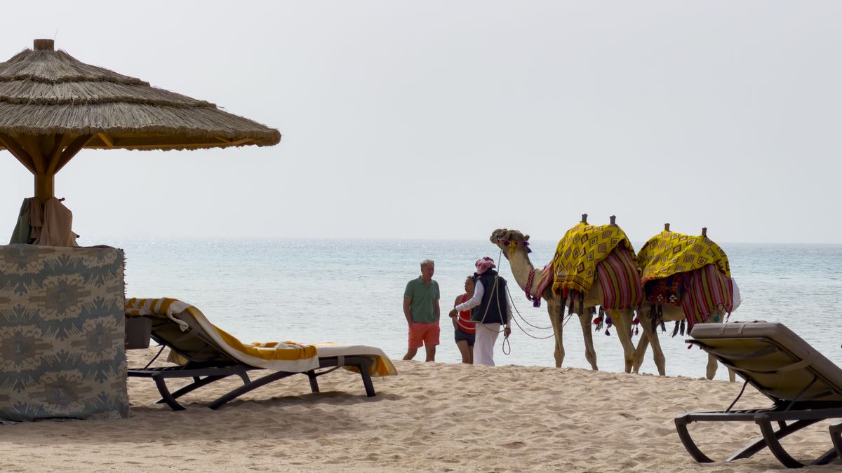 HURGHADA, EGYPT - JANUARY 28: Camels stand beside sun loungers under a thatched cabana while people relax on a sandy beach, enjoying shade, sea breeze and a colorful holiday atmosphere by the calm turquoise ocean on January 28, 2026 in Hurghada, Soma Bay, Egypt. (Photo by EyesWideOpen/Getty Images)