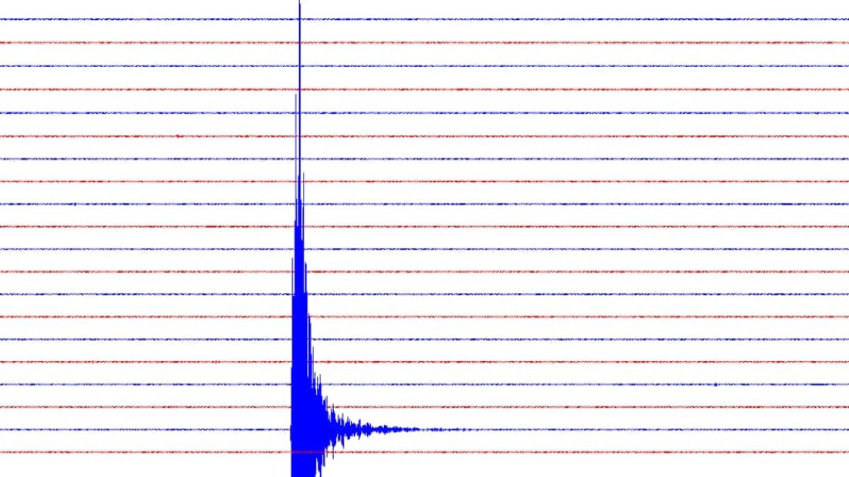 Zapis z sejsmografu. W Małopolsce zadrżała ziemia