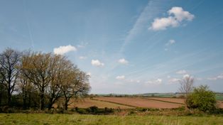 Nawozy pochłaniają już połowę budżetu rolników