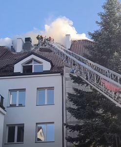 Pożar w budynku ZUS w Sztumie. Ewakuowano 80 osób