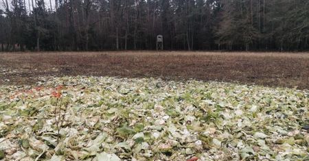 Zdjęcie z Wielkopolski. Ekolodzy wstrząśnięci akcją polskich myśliwych