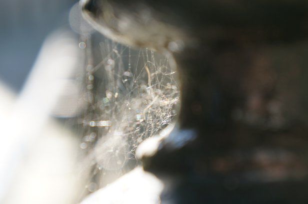 Sony NEX-5N - godne zastępstwo lustrzanki? [test] 12
