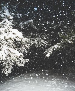 Jaka czeka nas zima? Naukowcy odpowiedzi szukają już teraz