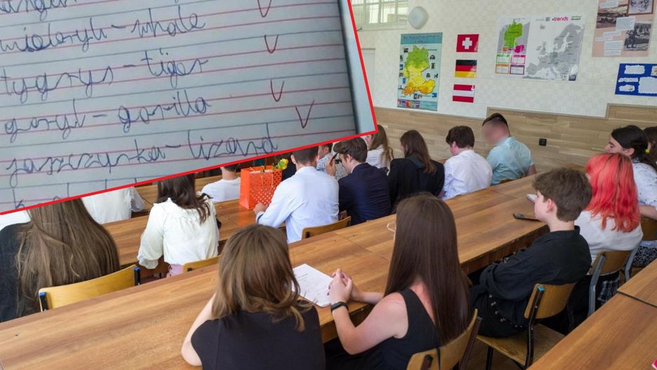 Szczere wyznanie na sprawdzianie rozczuliło nauczyciela