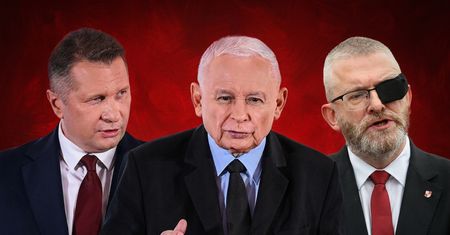 Braunizacja PiS [OPINIA]