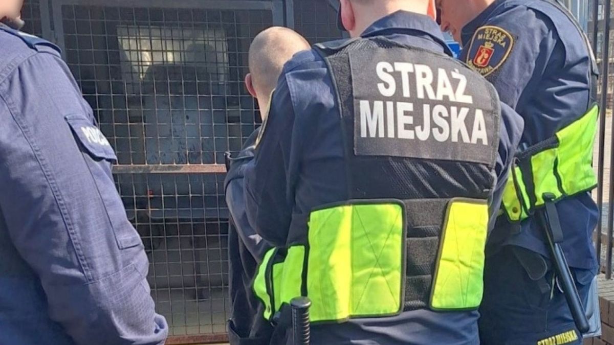 Straż miejska zatrzymała 30-latka
