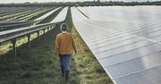 Zielona energia. Sprawdź w krzyżówce czy wiesz, jak chronić środowisko