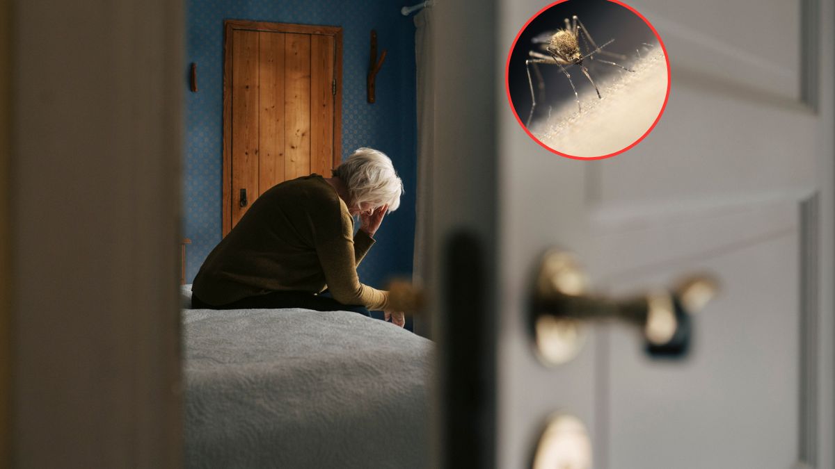 "Każdy podróżnik, który wraca z krajów tropikalnych i gorączkuje, potrzebuje pilnej diagnostyki"