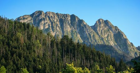 Wojsko wydzierżawi swoją nieruchomość. To działka z widokiem na Giewont