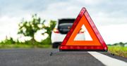Kleszczyniec: Ciężarówka rozjechała stado dzików