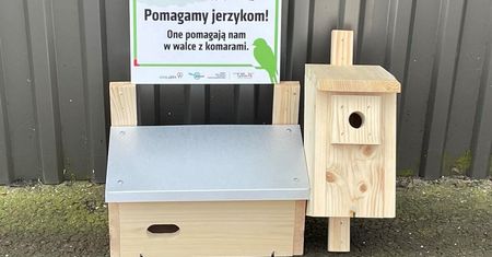 Nowe schronienia dla skrzydlatych mieszkańców Lublina