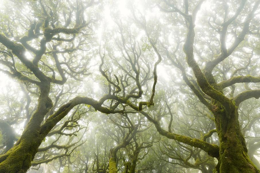 Zachwycająca natura Ziemi na zdjęciach z konkursu Nature Photographer of the Year 2015 3