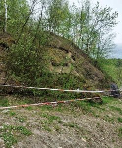 Ostrzeżenie dla mieszkańców Krakowa. Aktywne osuwisko w Parku Zakrzówek