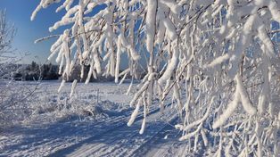 Polska w kleszczach mrozu i lodu. Na dokładkę spadnie śnieg