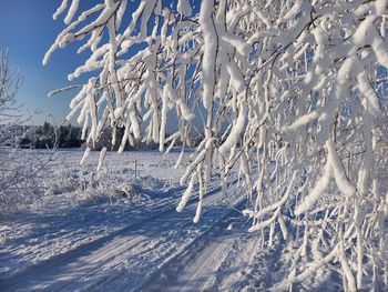 Polska w kleszczach mrozu i lodu. Na dokładkę spadnie śnieg