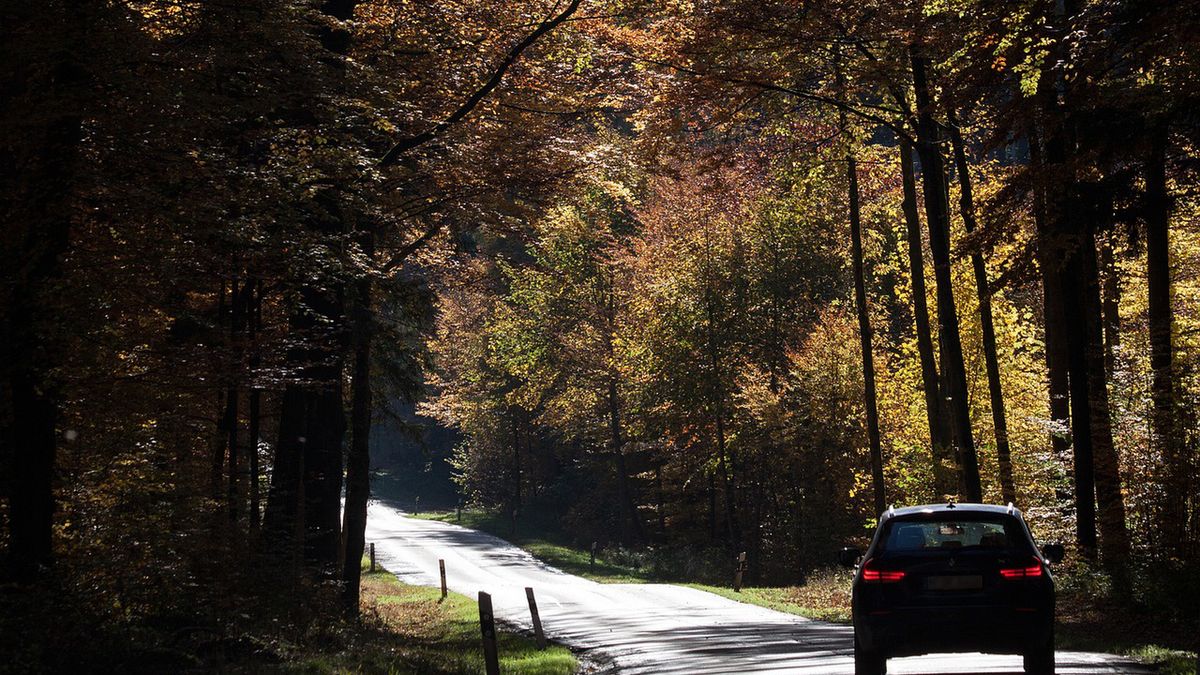 Wycieczka w Bory Tucholskie