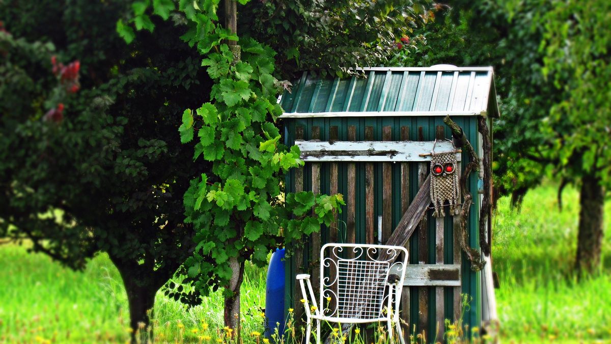 Według Wód Polskich, działkowcy nie muszą obawiać się kar